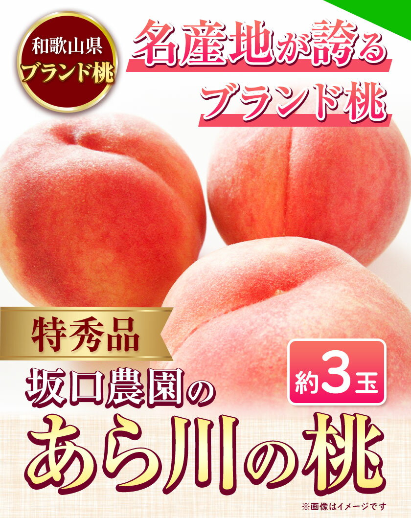 【ふるさと納税】桃 あら川の桃 ブランド桃 特秀品 3玉 坂口農園《2026年6月下旬-7月下旬頃より出荷予定》 和歌山県 紀の川市 桃 もも モモ 白鳳 日川白鳳 紀の里白鳳 清水白桃 川中島白桃 なつっこ 月あかり 黄金桃 あら川の桃 送料無料 サムネイル3