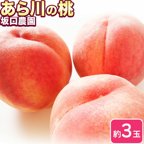 桃 あら川の桃 ブランド桃 特秀品 3玉 坂口農園《2026年6月下旬-7月下旬頃より出荷予定》 和歌山県 紀の川市 桃 もも モモ 白鳳 日川白鳳 紀の里白鳳 清水白桃 川中島白桃 なつっこ 月あかり 黄金桃 あら川の桃 送料無料