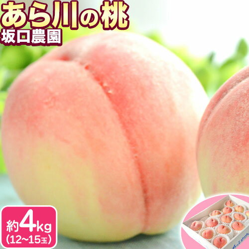 あら川の桃 秀品 約4kg(12~15玉) 坂口農園【先行予約】《2026年6月下旬-8月下旬頃出荷》 和歌山県 紀の川市 桃 もも モモ 白鳳 日川白鳳 紀の里白鳳 清水白桃 川中島白桃 なつっこ 月あかり 黄金桃 あら川の桃 送料無料