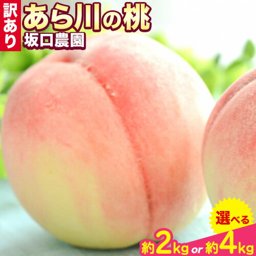 桃 あら川の桃 訳あり ご家庭用 2kg 4kg 坂口農園《2026年6月下旬-7月下旬頃より出荷予定》 和歌山県 紀の川市 桃 もも モモ 白鳳 川中島白鳳 紀の里白鳳 清水白桃 川中島白桃 なつっこ 月あかり 黄金桃 あら川の桃 送料無料