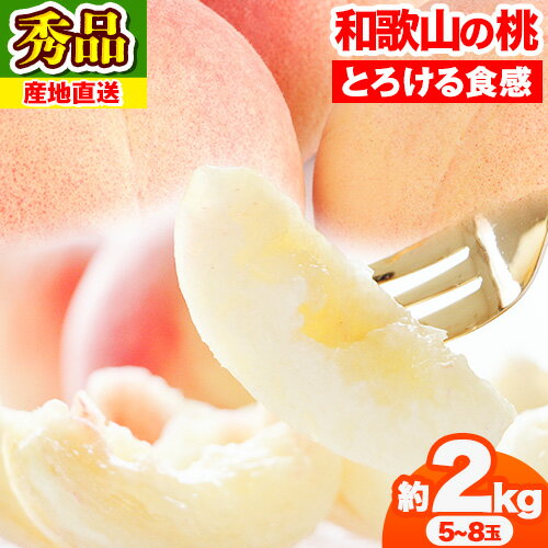 【先行予約】桃 もも 秀品 和歌山の桃 和歌山県産 約2kg 5〜8玉入り モモ 果物 フルーツ お取り寄せ 桃 旬の桃厳選 白鳳 清水白桃 川中島白桃 紀の川市厳選館 《2026年6月下旬-7月中旬頃出荷》和歌山 紀の川 桃 あら川 白鳳 もも モモ フルーツ