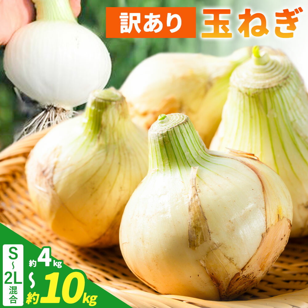【先行予約】農家さん直送！ 訳あり 玉ねぎ S〜2Lサイズ混合 選べる 約4kg 約10kg 《2026年4月中旬-8月上旬頃出荷》和歌山県 紀の川市 野菜 たまねぎ