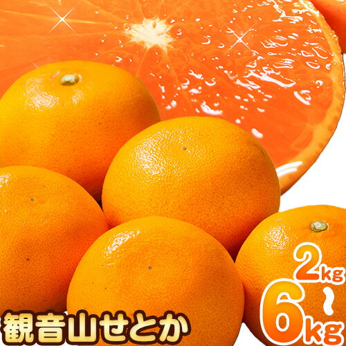観音山せとか 選べる 内容量 2kg 4kg 5kg 6kg 有限会社柑香園《2026年2月下旬-3月下旬頃出荷》和歌山県 紀の川市 フルーツ 果物 柑橘 せとか