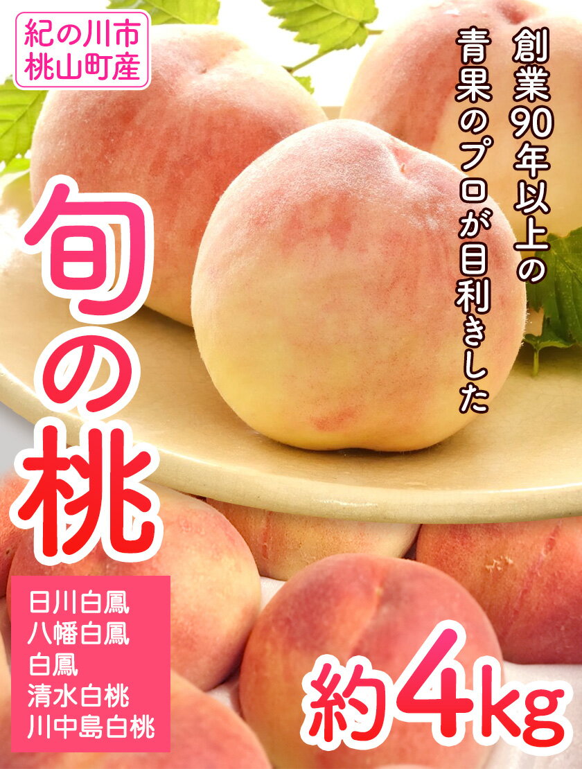 【ふるさと納税】和歌山の桃 約4kg (約12~15玉入) 岸武青果株式会社《2026年6月下旬-8月末頃出荷》 和歌山県 紀の川市 桃山町 もも モモ 果物 フルーツ - 画像3