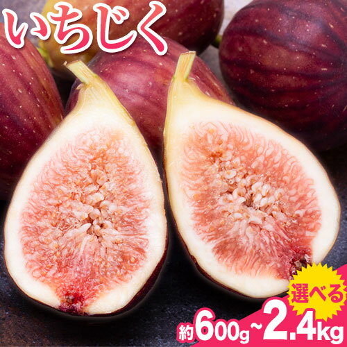 いちじく 選べる 内容量 約600g 300g × 2パック 約1.2kg 300g × 4パック 約2.4kg 300g × 8パック 岸武青果株式会社《7月下旬-11月末頃出荷》 和歌山県 紀の川市 イチジク 生 産地直送 果物 フルーツ
