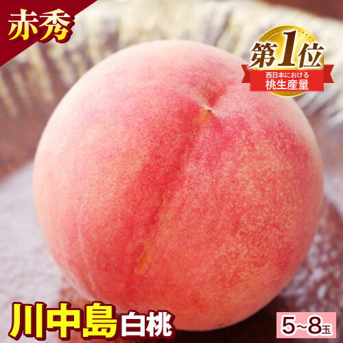 和歌山県紀の川市産 川中島白桃 5-8玉入り〈赤秀〉 株式会社松源《2026年7月中旬-8月中旬頃出荷》和歌山県 紀の川市