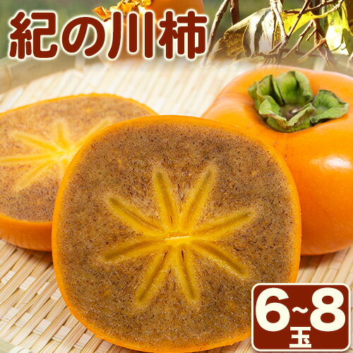 【先行予約】紀の川柿 6-8玉入 約1.8kg ときわオンライン《2025年10月上旬-12月中旬頃出荷》和歌山県 紀の川市 平核無柿 ひらたねなしがき