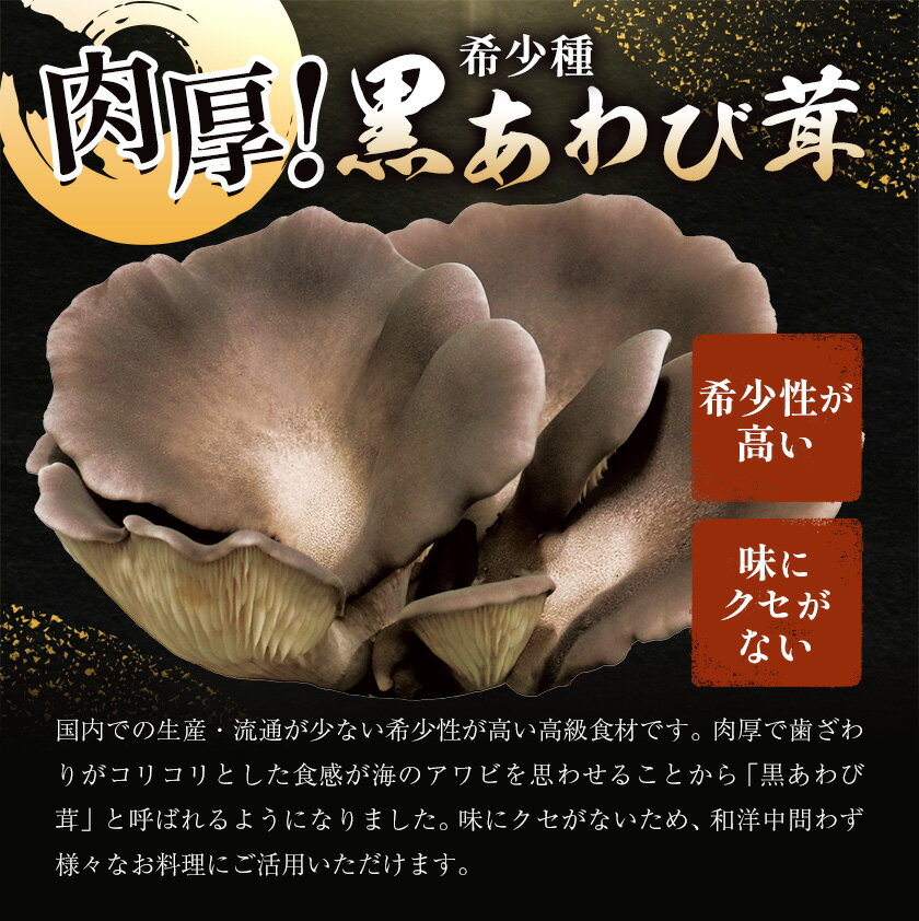 【ふるさと納税】きのこ 希少種 黒あわび茸 生 200g ( 100g × 2パック ) 《60日以内に出荷予定(土日祝除く)》 和島興産株式会社 和歌山県 岩出市 茸 きのこ あわび 希少 高級 贈答用 贈り物 野菜 送料無料 - 画像3