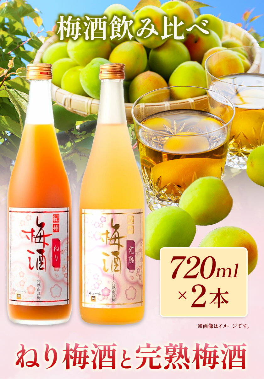 【ふるさと納税】紀州完熟南高梅 濃厚 ねり梅酒と芳醇 完熟梅酒 720ml×各1本 酒のねごろっく《30日以内に出荷予定(土日祝除く)》和歌山県 岩出市 吉村秀雄商店 酒 梅酒 リキュール 飲み比べ 紀州 ねり梅酒 完熟梅酒 南高梅 720ml 1440ml 送料無料 サムネイル2