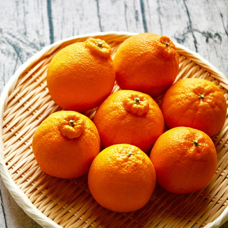 【ふるさと納税】甘みと旨味がぎゅっと詰まった逸品！越冬完熟「きみのデコ」(デコポンと同品種) 約1.5kg～4.5kg(6~20個程度)　サイズ混合 L以上 ご家庭用(秀優混合)　《 レビューキャンペーン 実施中 ! 》 /デコポン 不知火 柑橘 和歌山県 越冬 有機 サムネイル2