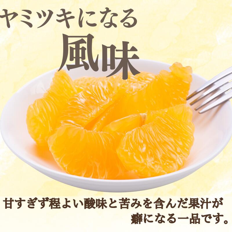 【ふるさと納税】新鮮！はじける食感！「きみのハッサク」約3kg(10~13個程度)～4.5kg(14~17個程度) サイズ L~2L ご家庭用(秀優混合) 《 レビューキャンペーン 実施中 ! 》/八朔 柑橘 和歌山県 手選別 サムネイル2