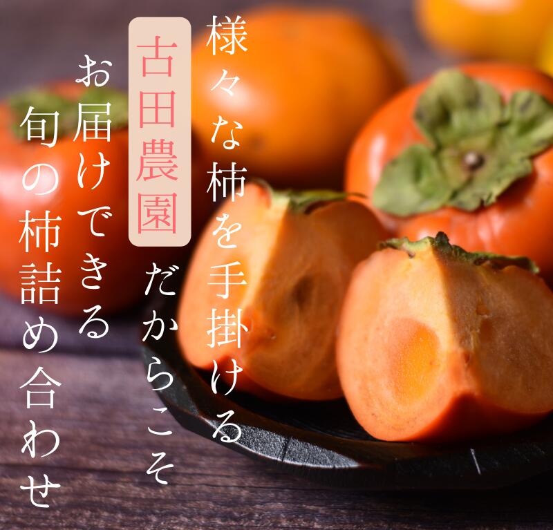 【ふるさと納税】 【☆令和7年産☆先行予約】 旬の 柿 詰め合わせ 【特秀】〈選べる容量 2kg 3kg 〉紀州和歌山産 【2025年10月上旬～11月下旬に順次発送】《 レビューキャンペーン 実施中 ! 》/ 詰め合わせ 柿 3kg 甘い 太秋柿 紀ノ川柿 富有柿 早秋柿 2kg 珍しい 希少 サムネイル2