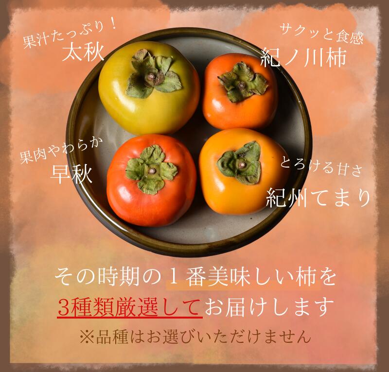【ふるさと納税】 【☆令和7年産☆先行予約】 旬の 柿 詰め合わせ 【特秀】〈選べる容量 2kg 3kg 〉紀州和歌山産 【2025年10月上旬～11月下旬に順次発送】《 レビューキャンペーン 実施中 ! 》/ 詰め合わせ 柿 3kg 甘い 太秋柿 紀ノ川柿 富有柿 早秋柿 2kg 珍しい 希少 サムネイル3