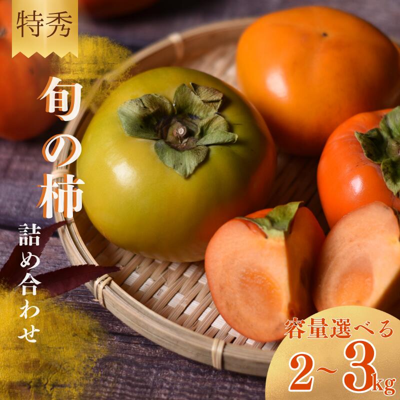 【☆令和7年産☆先行予約】 旬の 柿 詰め合わせ 【特秀】〈選べる容量 2kg 3kg 〉紀州和歌山産 【2025年10月上旬～11月下旬に順次発送】《 レビューキャンペーン 実施中 ! 》/ 詰め合わせ 柿 3kg 甘い 太秋柿 紀ノ川柿 富有柿 早秋柿 2kg 珍しい 希少