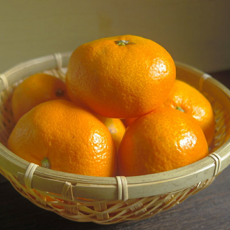 【ふるさと納税】《 レビューキャンペーン 実施中 ! 》【先行予約】S～2L サイズおまかせ 紀美野町産 貯蔵みかん 5kg～10kg【2025年1月中旬～2月下旬に順次発送致します。】 サムネイル3