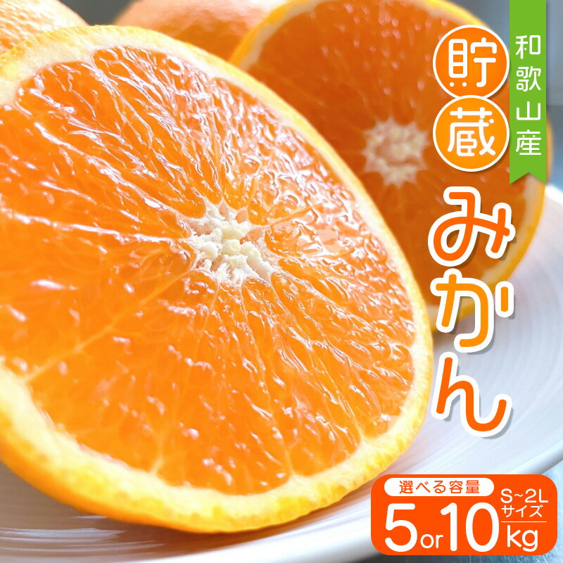 《 レビューキャンペーン 実施中 ! 》【先行予約】S～2L サイズおまかせ 紀美野町産 貯蔵みかん 5kg～10kg【2025年1月中旬～2月下旬に順次発送致します。】