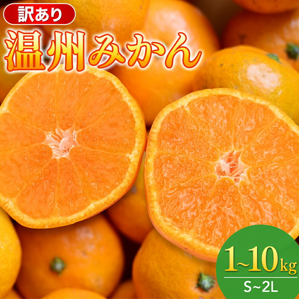 【S～2Lサイズおまかせ】訳あり品 温州みかん 「おてんば娘」1kg~10kg(早生・中生・晩稲)【2025年10月中旬～2026年1月中旬頃までに順次発送】＜味好農園＞ /みかん ミカン 温州みかん 温州ミカン 柑橘 和歌山県 有機