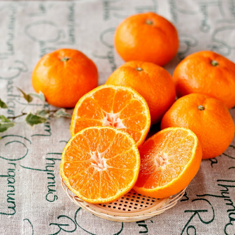 【ふるさと納税】 みかん 秀品 和歌山 が誇る 温州みかん (極早生・早生・中生・晩稲) 選べる容量 2kg 3kg 5kg 10kg ※箱込み【2025年10月中旬～2026年2月下旬までに順次発送】【M~2Lサイズおまかせ】＜味好農園＞《 レビューキャンペーン 実施中 ! 》 サムネイル3