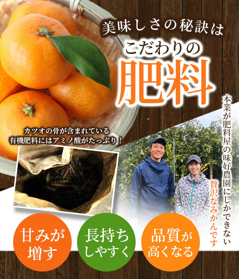 【ふるさと納税】 みかん 秀品 和歌山 が誇る 温州みかん (極早生・早生・中生・晩稲) 選べる容量 2kg 3kg 5kg 10kg ※箱込み【2025年10月中旬～2026年2月下旬までに順次発送】【M~2Lサイズおまかせ】＜味好農園＞《 レビューキャンペーン 実施中 ! 》 サムネイル2