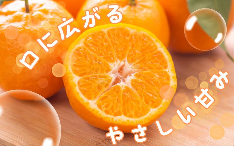 【ふるさと納税】 ポンカン 2kg 5kg ※箱込み 秀品【S~2Lのサイズおまかせ】【2025年10月中旬～2026年1月下旬までに順次発送】＜味好農園＞《 レビューキャンペーン 実施中 ! 》6000円 10000円 / 柑橘 和歌山県 有機 みかん ミカン ぽんかん サムネイル2