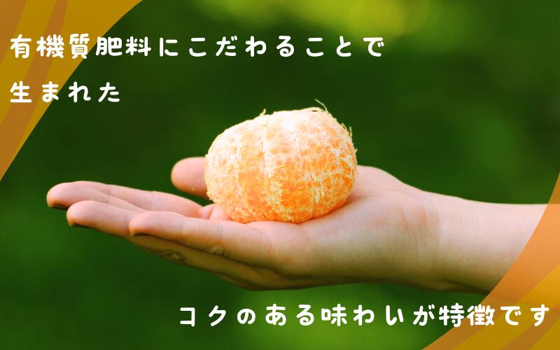 【ふるさと納税】 ポンカン 2kg 5kg ※箱込み 秀品【S~2Lのサイズおまかせ】【2025年10月中旬～2026年1月下旬までに順次発送】＜味好農園＞《 レビューキャンペーン 実施中 ! 》6000円 10000円 / 柑橘 和歌山県 有機 みかん ミカン ぽんかん サムネイル3