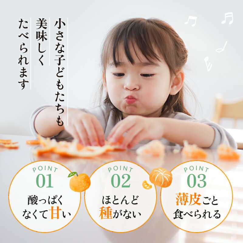 【ふるさと納税】 せとか 3kg 秀品 ╲地元で大人気 ! ／ 【M～2Lサイズ混合】【先行予約・数量限定】【2026年3月中旬から2026年3月下旬頃に順次発送】〈味好農園〉《 レビューキャンペーン 実施中 ! 》 /ミカン 柑橘 フルーツ くだもの 甘い ジューシー 果汁があふれる サムネイル2