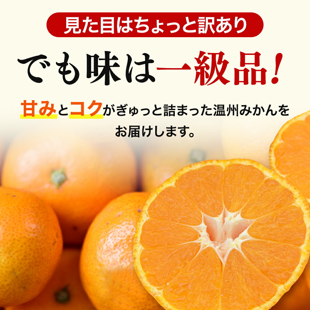 【ふるさと納税】【S～2Lサイズおまかせ】訳あり品 温州みかん 「おてんば娘」1kg~10kg(早生・中生・晩稲)【2025年10月中旬～2026年1月中旬頃までに順次発送】＜味好農園＞ /みかん ミカン 温州みかん 温州ミカン 柑橘 和歌山県 有機 サムネイル2