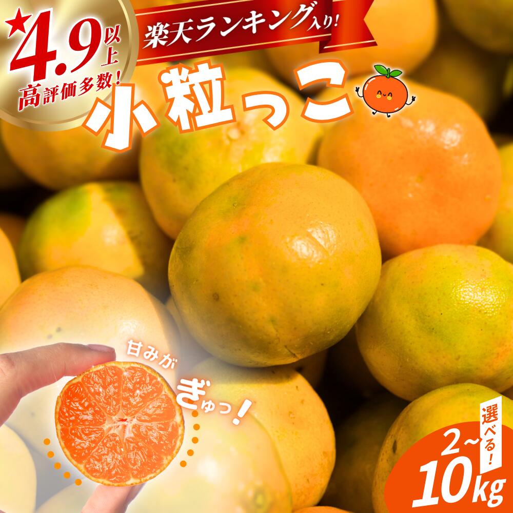 みかん 小玉 ss 温州みかん 「小粒っこ」 2kg 4kg 10kg ※箱込み ※秀優混合 《 レビューキャンペーン 実施中 ! 》8000円 10000円 ( 極早生 早生 中生 晩稲)【2S～3Sサイズおまかせ】【2025年10月中旬～2026年1月下旬までに順次発送】＜味好農園＞