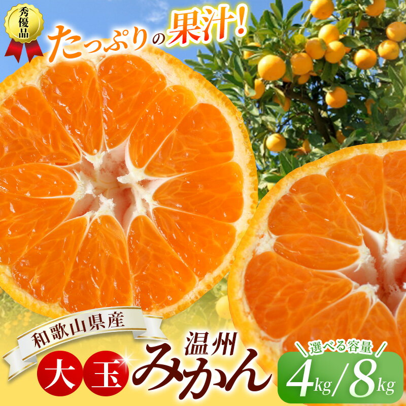大玉 温州 みかん 4kg～8kg ※秀優混合【2L～3Lサイズ】【2025年12月から2026年2月下旬頃に順次発送】＜味好農園＞/ 温州 蜜柑 みかん 柑橘 果物 フルーツ ミカン 訳あり