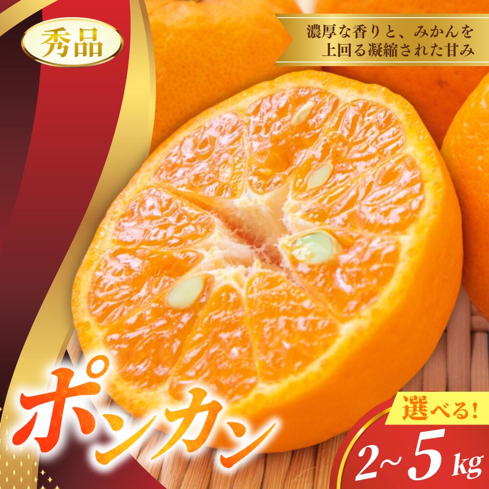 ポンカン 2kg 5kg ※箱込み 秀品【S~2Lのサイズおまかせ】【2025年10月中旬～2026年1月下旬までに順次発送】＜味好農園＞《 レビューキャンペーン 実施中 ! 》6000円 10000円 / 柑橘 和歌山県 有機 みかん ミカン ぽんかん
