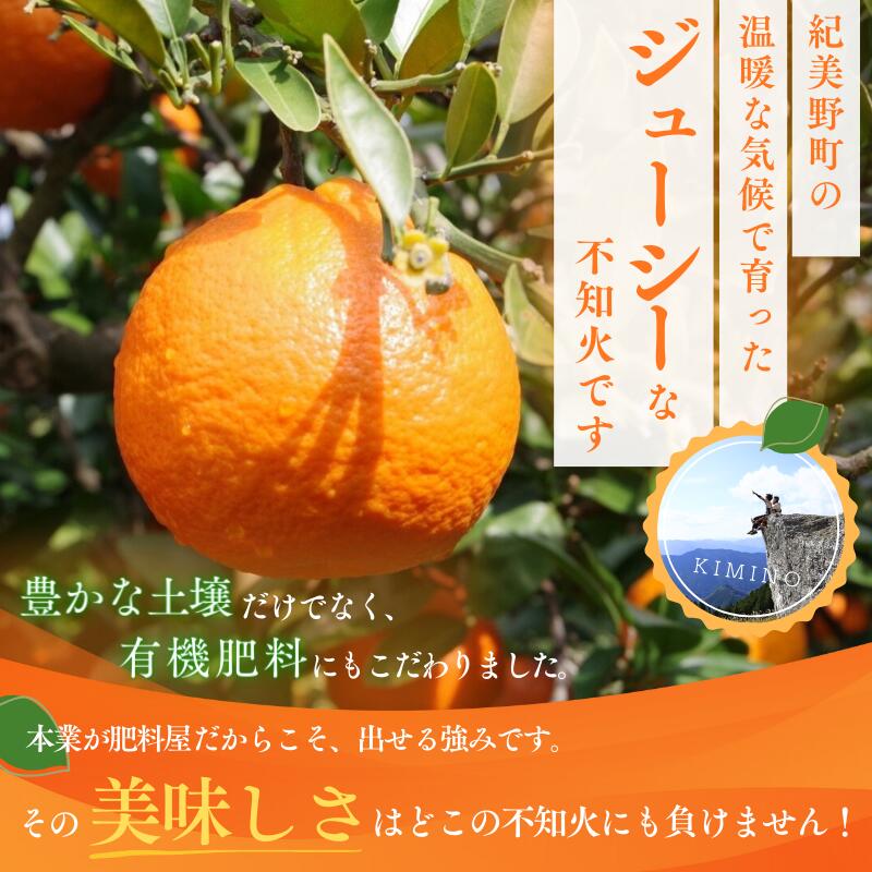 【ふるさと納税】 不知火 ハウス不知火 デコポン 2kg~5kg※箱込み / 不知火 デコポン デコ 柑橘 高級 甘い 和歌山 柑橘 和歌山県 越冬 有機 甘い【M～3Lのサイズおまかせ】【2026年1月下旬から4月上旬頃に順次発送】 サムネイル2