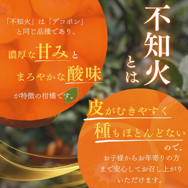 【ふるさと納税】 不知火 ハウス不知火 デコポン 2kg~5kg※箱込み / 不知火 デコポン デコ 柑橘 高級 甘い 和歌山 柑橘 和歌山県 越冬 有機 甘い【M～3Lのサイズおまかせ】【2026年1月下旬から4月上旬頃に順次発送】 サムネイル3