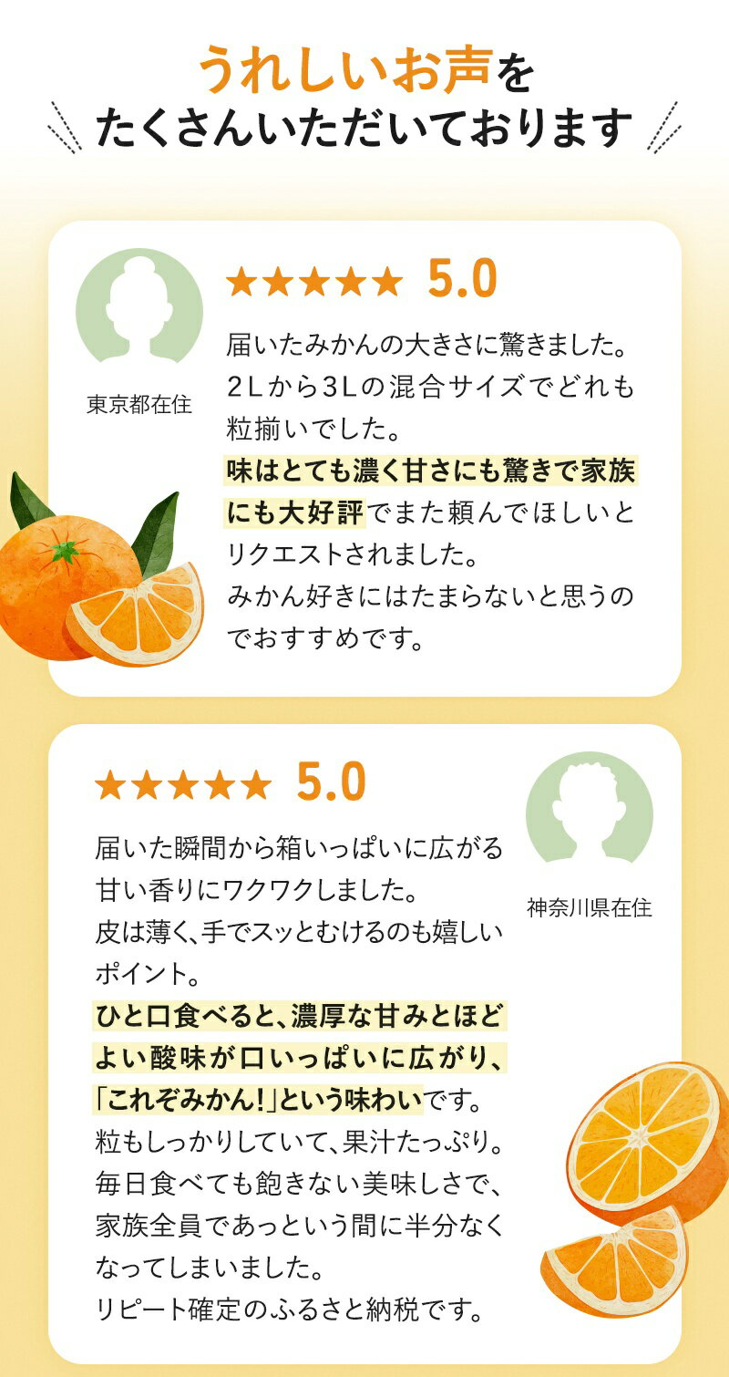 【ふるさと納税】 大玉 温州 みかん 4kg～8kg ※秀優混合【2L～3Lサイズ】【2025年12月から2026年2月下旬頃に順次発送】＜味好農園＞/ 温州 蜜柑 みかん 柑橘 果物 フルーツ ミカン 訳あり サムネイル2