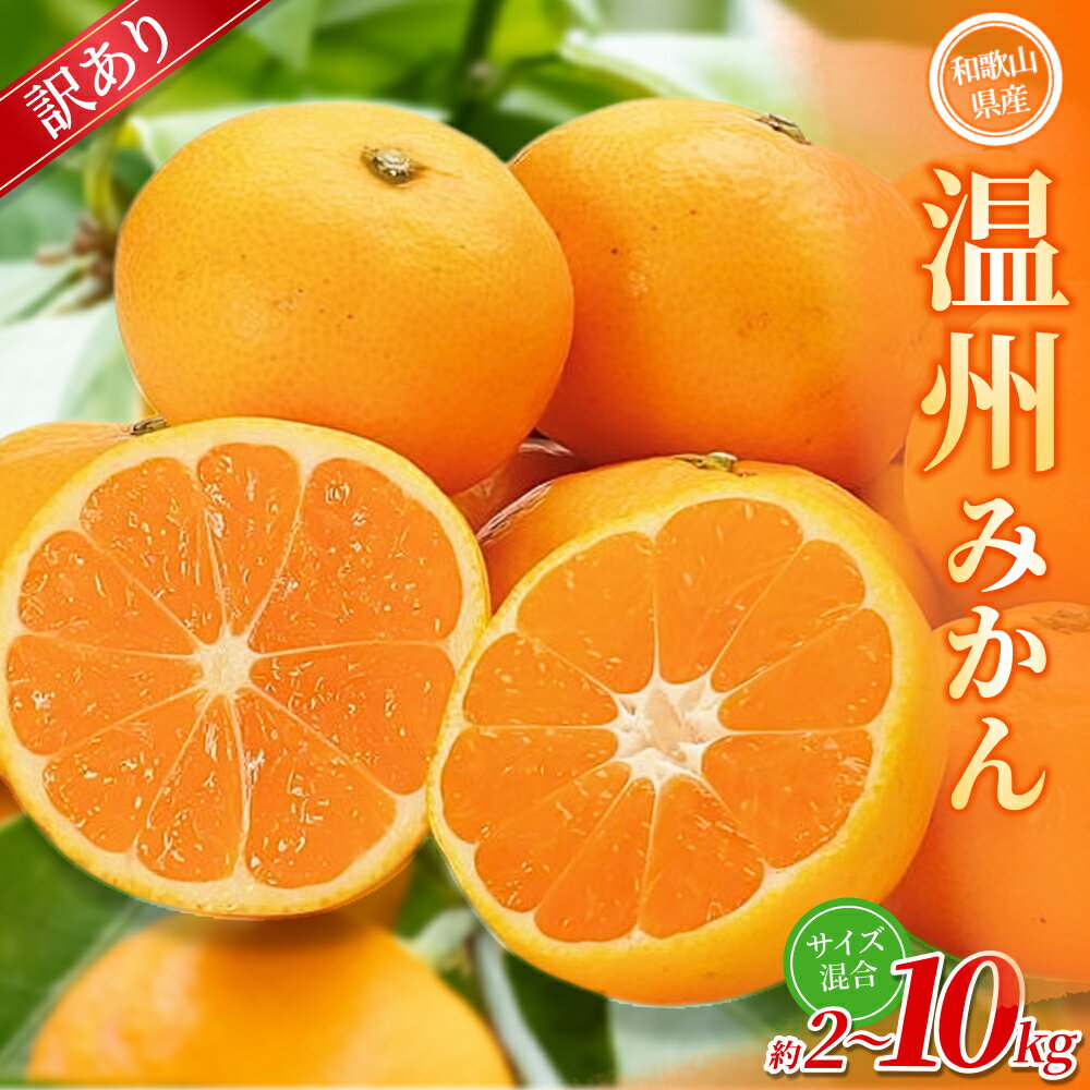 【訳あり】 温州みかん 約2kg ~約10kg 和歌山県産 2S~2Lサイズ混合※2025年11月上旬～2026年2月中旬ごろに順次発送