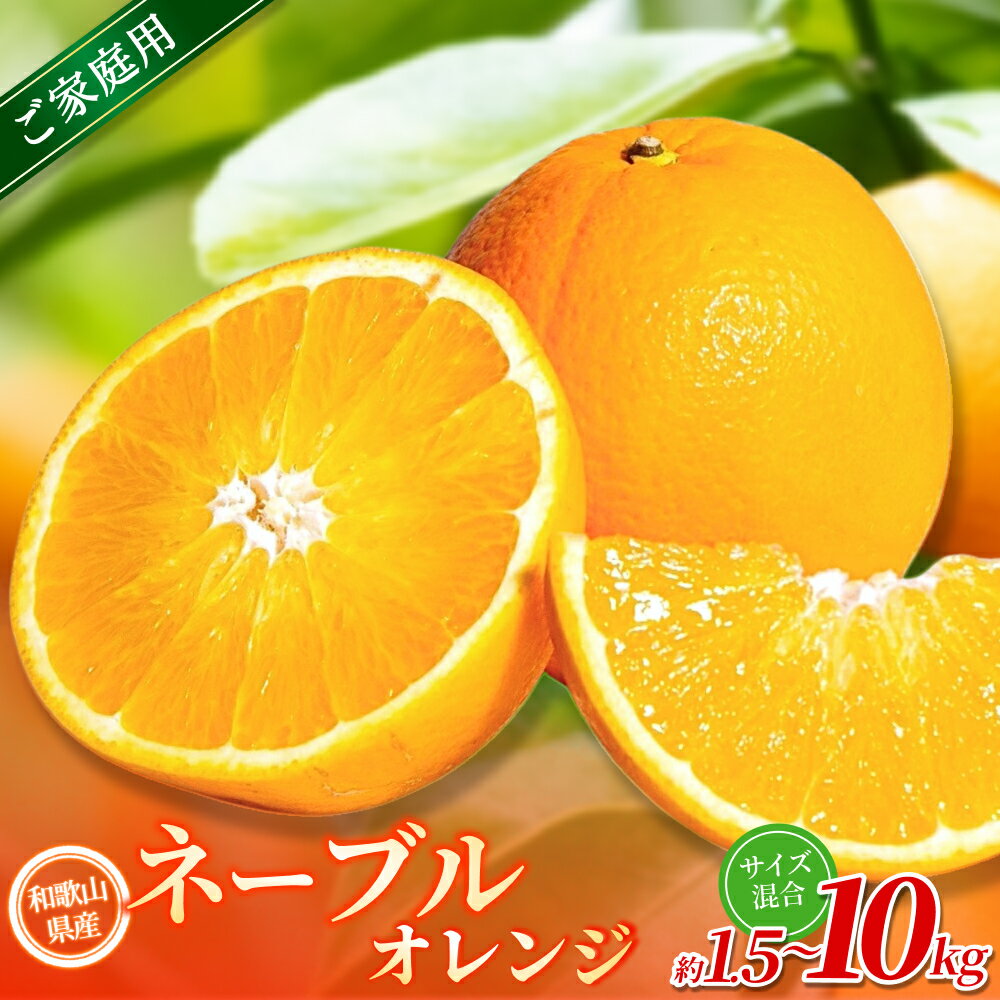【ご家庭用】手選別 ネーブルオレンジ 約1.5kg ~約10kg 和歌山県産 2S~2Lサイズ混合※2026年1月上旬～2月中旬頃に順次発送