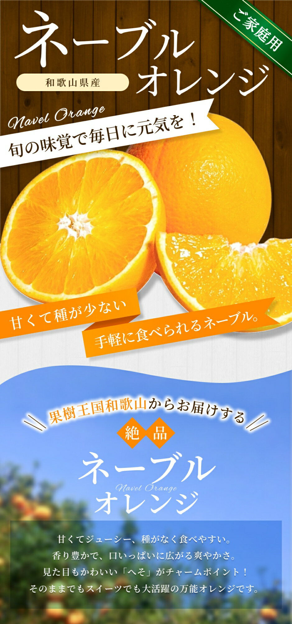 【ふるさと納税】【ご家庭用】手選別 ネーブルオレンジ 約1.5kg ~約10kg 和歌山県産 2S~2Lサイズ混合※2026年1月上旬～2月中旬頃に順次発送 サムネイル2