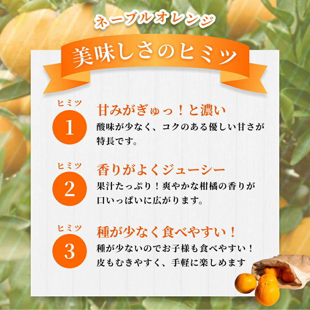 【ふるさと納税】【ご家庭用】手選別 ネーブルオレンジ 約1.5kg ~約10kg 和歌山県産 2S~2Lサイズ混合※2026年1月上旬～2月中旬頃に順次発送 サムネイル3