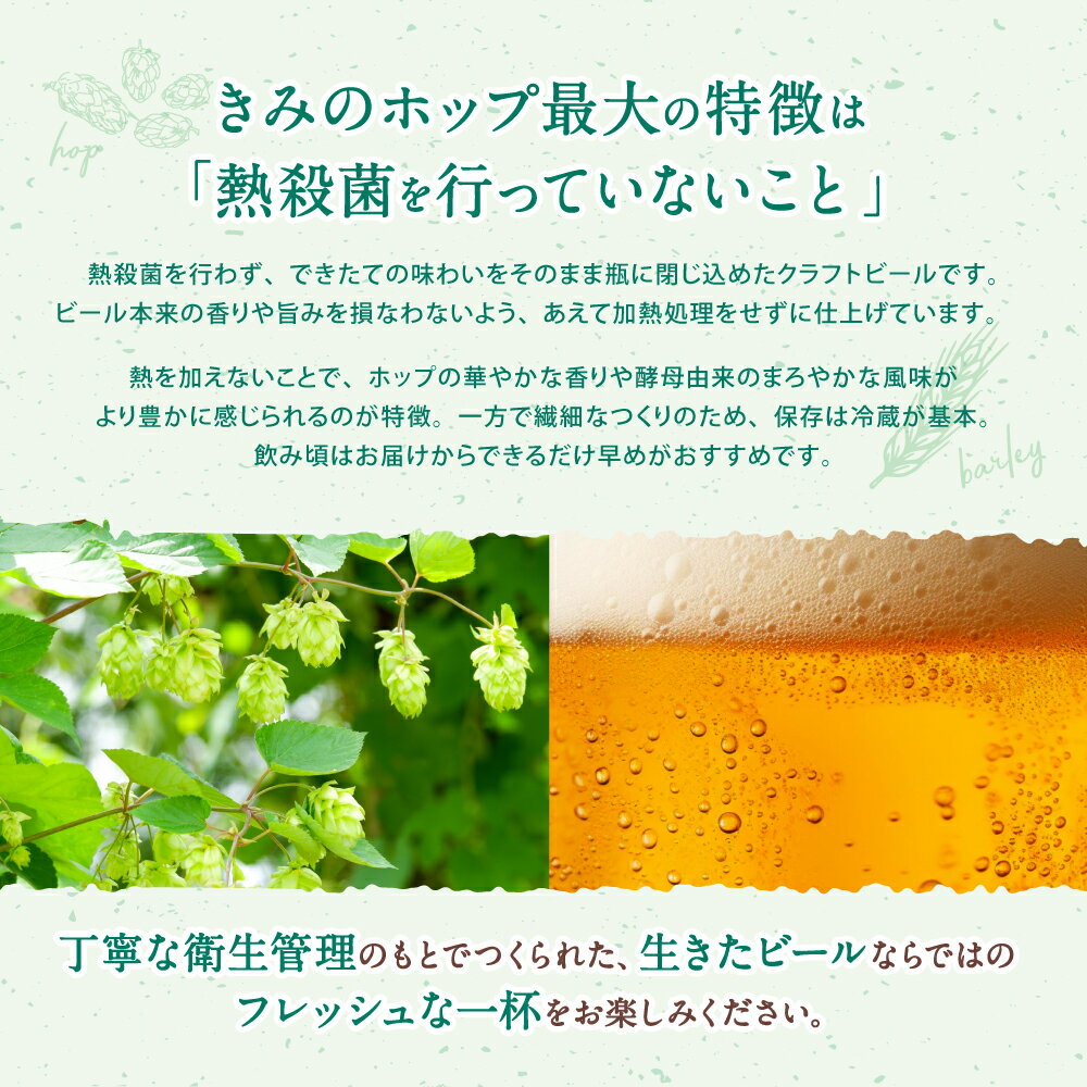 【ふるさと納税】紀美野町産ホップ100%使用！ きみのホップ 24本入り / ビール 地ビール ホップ 国産 さわやか 晩酌 パーティ 飲み会 和歌山県 紀美野町 サムネイル3