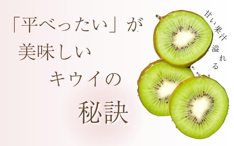 【ふるさと納税】 訳あり キウイ フルーツ 1kg 2.5kg 5kg 訳あり 6000円 10000円 20000円 【わけあり・訳あり・扁平果】【2025年11月中旬より順次発送予定】※北海道・沖縄・離島配送不可 【わけあり・訳あり・扁平果】 / きうい 和歌山 フルーツ 果物 くだもの 旬 サムネイル2