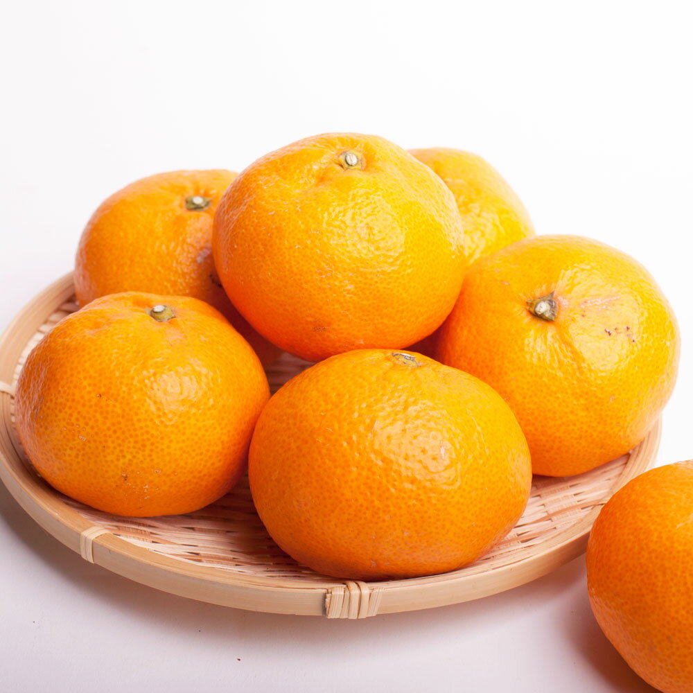 【ふるさと納税】家庭用 大きな有田みかん (2L以上混合) 【先行予約】【光センサー選果】＜2025年11月より順次発送＞/ 厳選 みかん サムネイル3