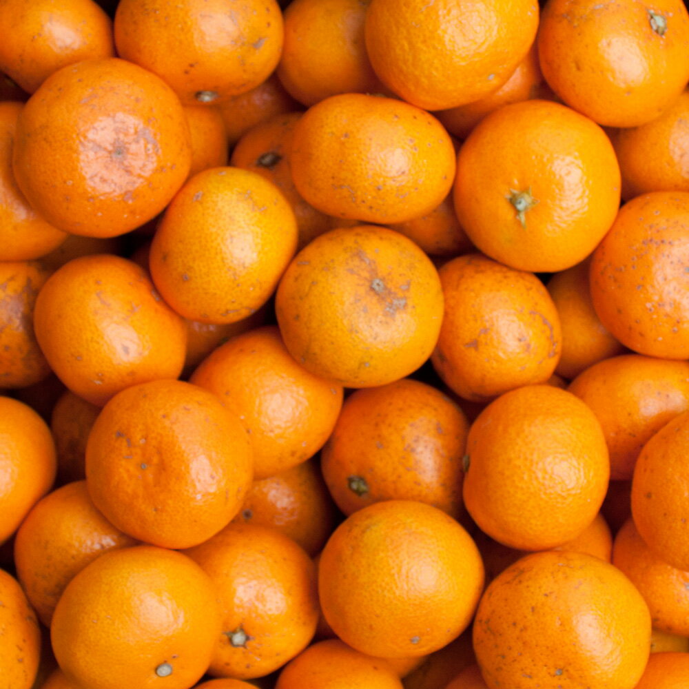 【ふるさと納税】【選べる容量】家庭用 小さな有田みかん (S以下) 【訳あり】【光センサー選果】＜2025年10月より順次発送予定＞ オレンジ 小玉 訳あり 有田 有田みかん 和歌山 柑橘 訳アリ 小玉みかん サムネイル2