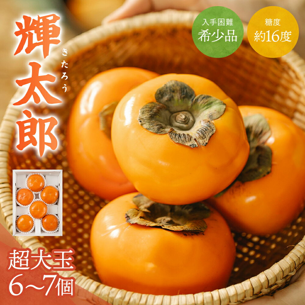 希少な柿【輝太郎】大玉6個～7個 コクのある甘さ！こだわり農家厳選【2026年9月末～10月末頃順次発送】 / 柿 かき 果物 フルーツ 輝太郎 デザート おやつ 和菓子 菓子 お菓子 和歌山産 和歌山県産