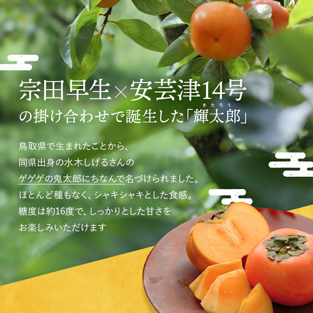 【ふるさと納税】希少な柿【輝太郎】大玉6個～7個 コクのある甘さ！こだわり農家厳選【2026年9月末～10月末頃順次発送】 / 柿 かき 果物 フルーツ 輝太郎 デザート おやつ 和菓子 菓子 お菓子 和歌山産 和歌山県産 サムネイル2