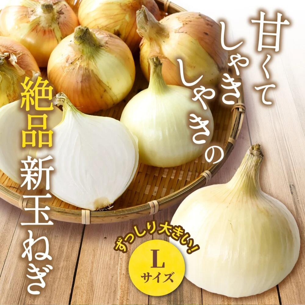 【ふるさと納税】【先行予約】和歌山県産新玉ねぎ約10kg　Lサイズ 約25個入り　こだわり農家厳選！【2026年4月末頃～6月中旬に発送予定】人気 おすすめ オニオン スープ サラダ 国産 野菜 新鮮 ビッグサイズ 大きい BBQ - 画像2