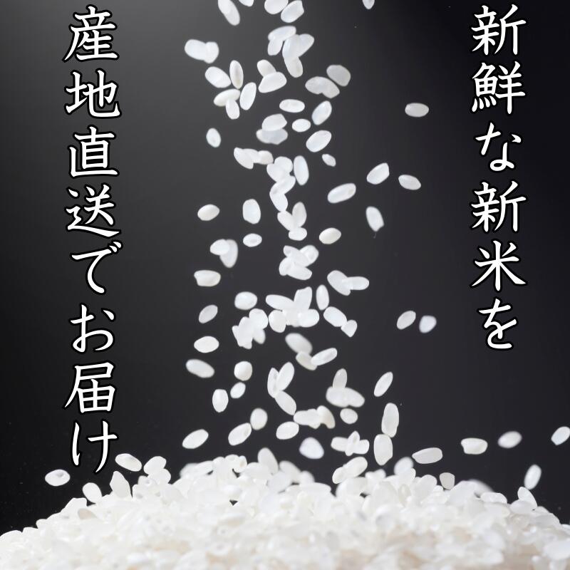 【ふるさと納税】 和歌山県産 キヌヒカリ 選べる容量 (2025年産) 5kg 10kg 産地直送 ※9月中旬より順次発送予定 / 米 こめ ご飯 ごはん 白米 弁当 精米 和歌山 国産 厳選 - 画像2