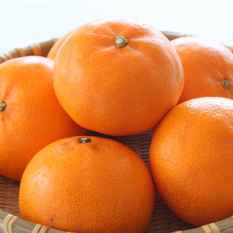 【ふるさと納税】一度は食べていただきたい「有田産のせとか」約4～5kg（サイズおまかせ）※2026年2月中旬～2026年3月上旬頃に順次発送 / 果物 くだもの フルーツ 蜜柑 みかん オレンジ 柑橘 サムネイル2