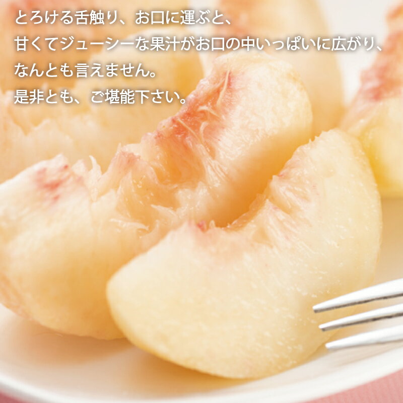 【ふるさと納税】【選べる容量】和歌山の桃 秀品 【選べる容量】 ※2026年6月下旬～2026年8月上旬頃順次発送(お届け日指定不可) /もも モモ 桃 フルーツ 果物 人気 旬 サムネイル3