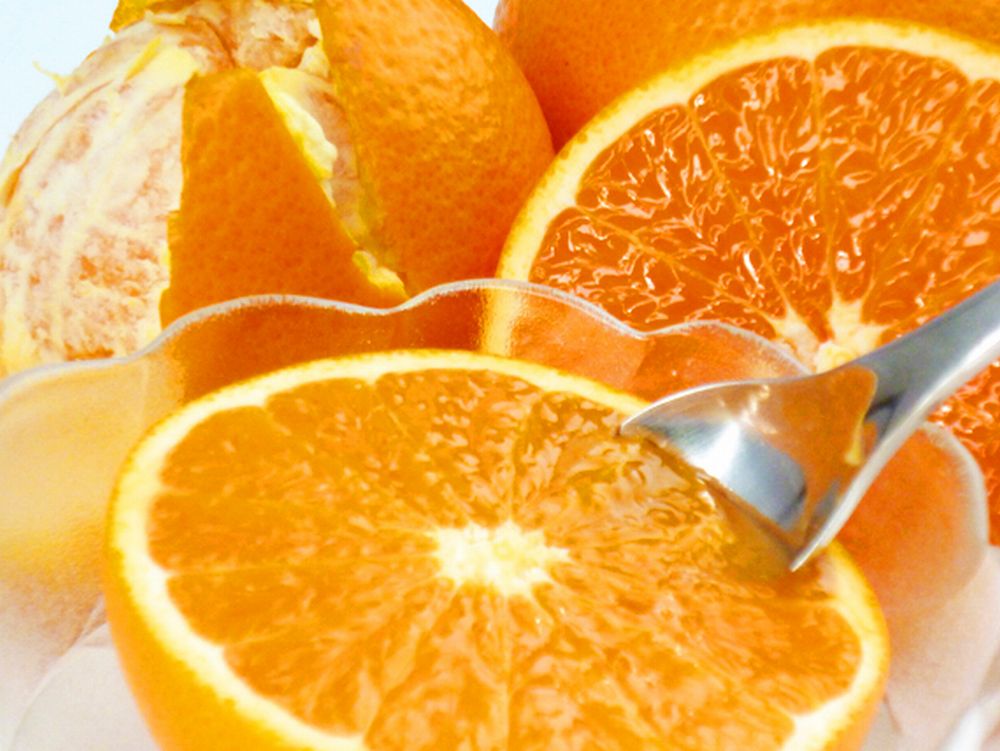 【ふるさと納税】 【予約】【ジューシー】清見オレンジ 2.5kg 5kg ※2026年3月下旬頃～2026年4月中旬頃に順次発送予定（お届け日指定不可） / オレンジ 清見 先行予約 果汁 人気 サムネイル2