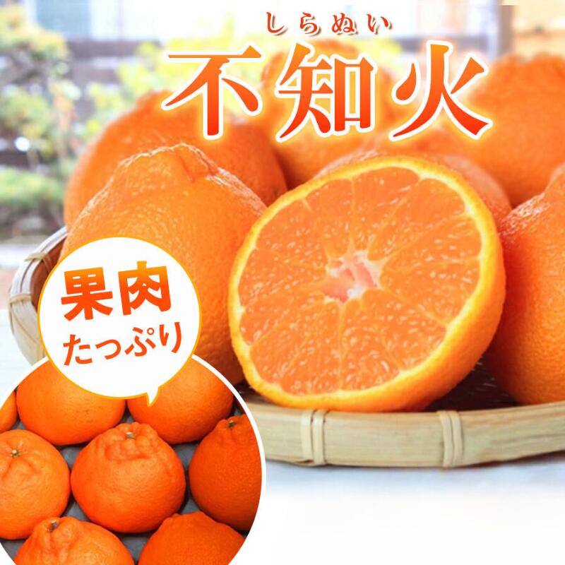果肉プリプリ♪　完熟紀州デコ(不知火) 【選べる容量】【先行予約】 ＜2026年2月中旬頃〜2026年3月中旬頃に順次発送＞ （お届け日指定不可） / 不知火 みかん 柑橘類 先行予約 人気