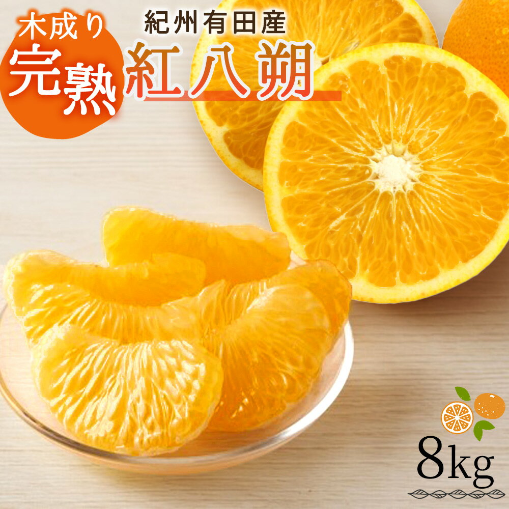 果肉プリプリ♪　完熟紀州デコ(不知火) 約3kg ＜2026年2月末頃〜2026年3月中旬頃に順次発送＞ （お届け日指定不可） / 不知火 みかん 柑橘類 先行予約 人気